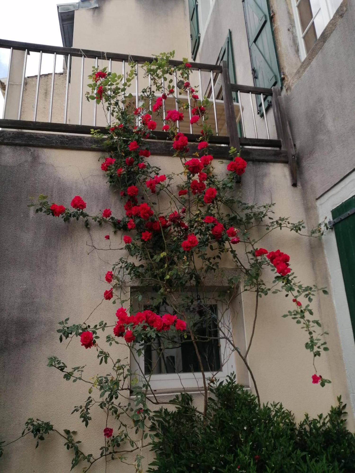 Maison Alba La Source Mazamet Exterior photo
